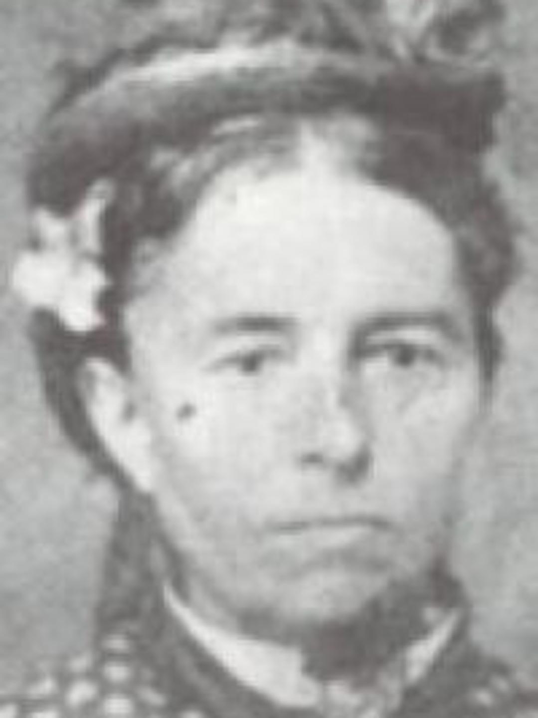 Magdalena Schneider (1838 - 1896) Profile